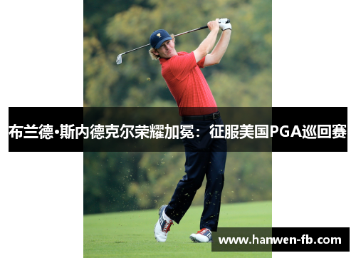 布兰德·斯内德克尔荣耀加冕：征服美国PGA巡回赛