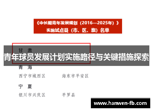 青年球员发展计划实施路径与关键措施探索